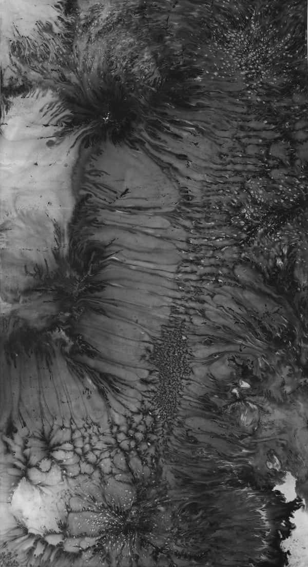 BINGYI 冰逸 溪山万花-5 Streams and Mountains, Myriad Flowers No.5, 2021-2022 Ink on paper 纸本水墨 178 x 96 cm